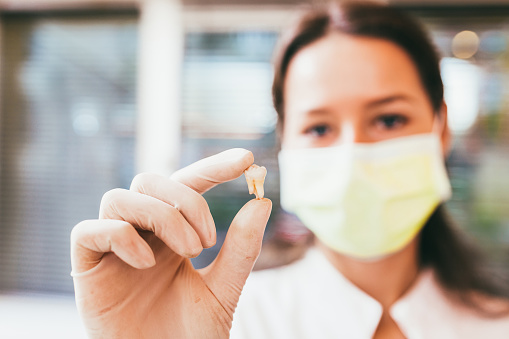 Dentist holding tooth she extracted