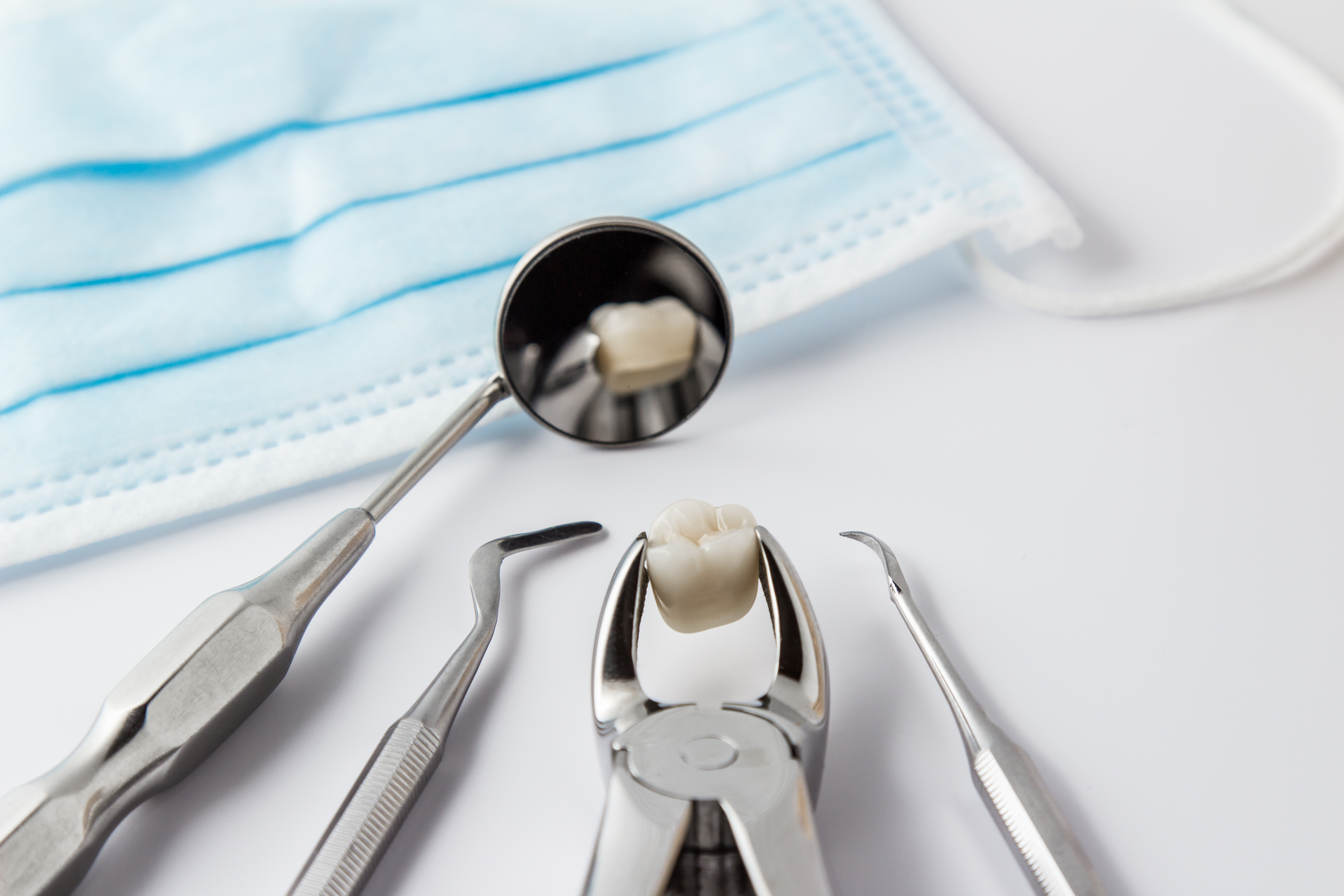 close up selection of dental tools