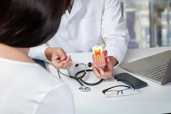 An endodontist uses a cross-section model of a tooth to help educate their patient about tooth anatomy during a sit-down consultation about the patient's dental health.